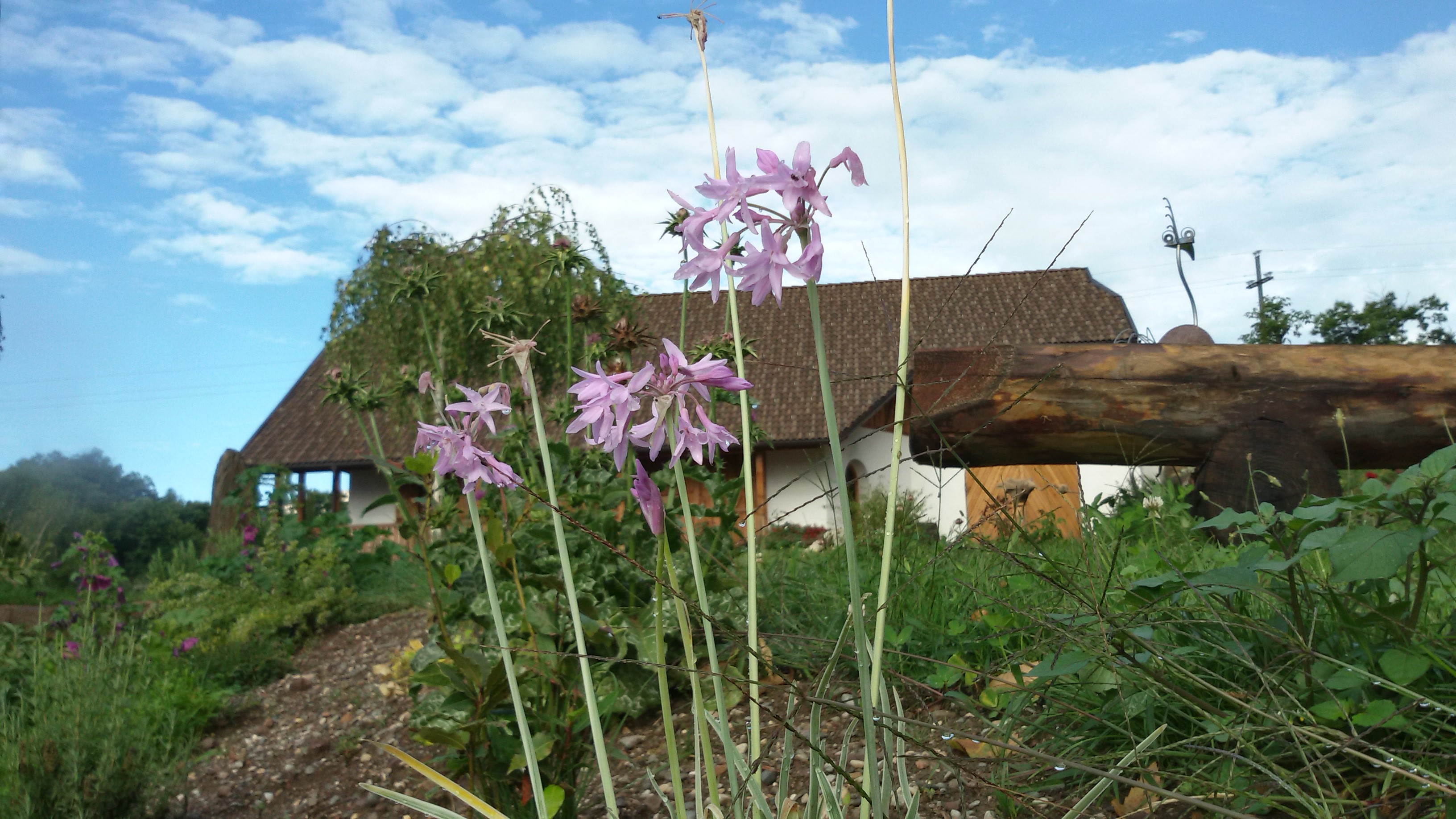 Kräutergarten