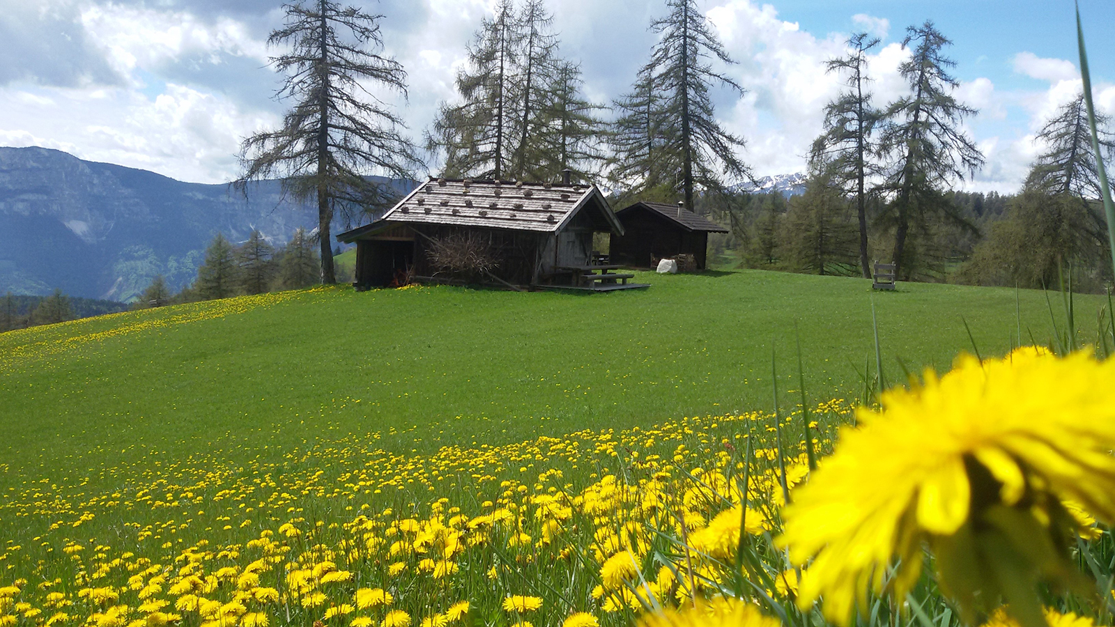 Salten Fruehling
