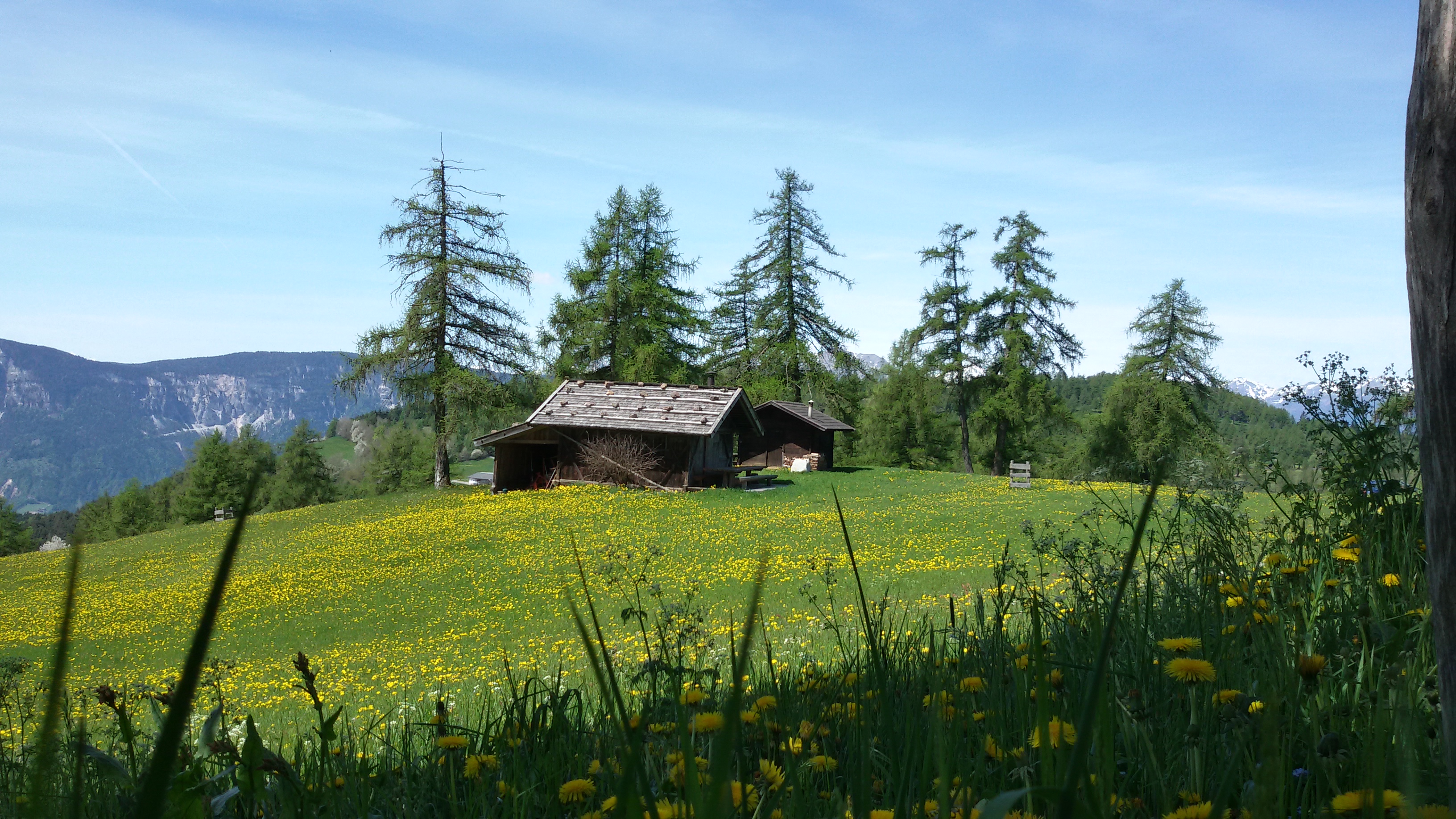 Salten im Frühling